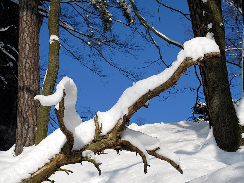 2010-12-29, Bastei (17).JPG